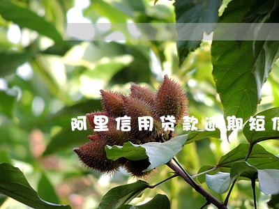 阿里信用贷款逾期短信诈骗 阿里信用贷款逾期短信诈骗