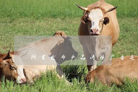 阿里发布产品涉嫌广告违法 阿里发布产品涉嫌广告违法