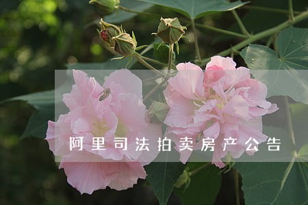 阿里司法拍卖房产公告