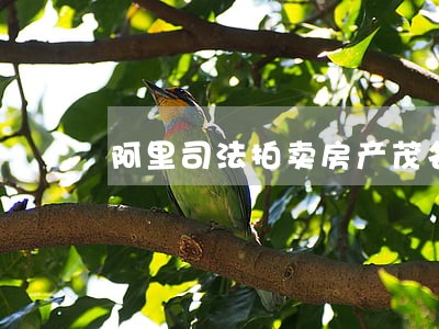 阿里司法拍卖房产茂名 阿里司法拍卖房产茂名