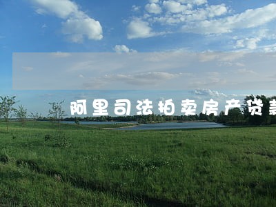 阿里司法拍卖房产贷款吗 阿里司法拍卖房产贷款吗