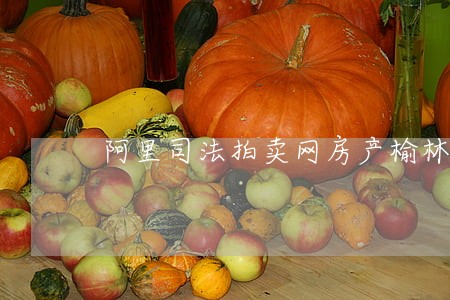 阿里司法拍卖网房产榆林 阿里司法拍卖网房产榆林