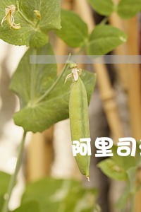 阿里司法拍卖网深圳迅达出租车 阿里司法拍卖网深圳迅达出租车