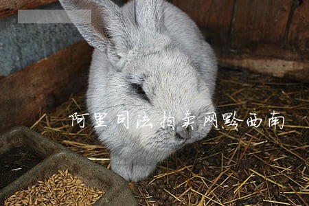 阿里司法拍卖网黔西南 阿里司法拍卖网黔西南