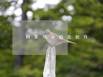 阿里司法拍卖软件