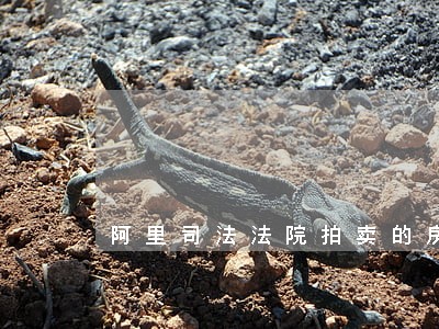 阿里司法法院拍卖的房子