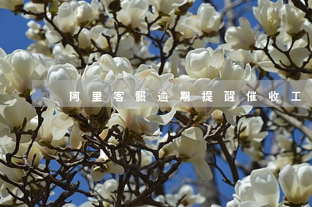 阿里客服逾期提醒催收工作 阿里客服逾期提醒催收工作