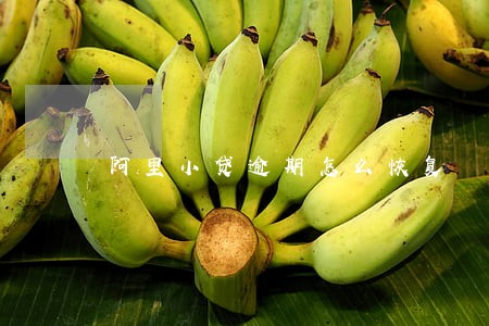 阿里小贷逾期怎么恢复