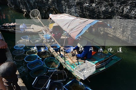 阿里巴巴互联网法院道 阿里巴巴互联网法院道