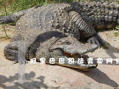 阿里巴巴司法变卖网络平台 阿里巴巴司法变卖网络平台