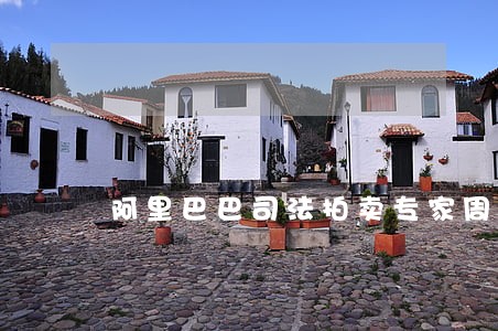 阿里巴巴司法拍卖专家周茹 阿里巴巴司法拍卖专家周茹