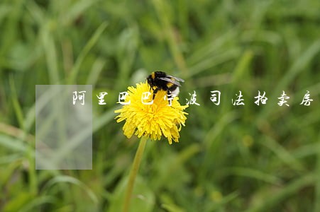 阿里巴巴宁波司法拍卖房产 阿里巴巴宁波司法拍卖房产