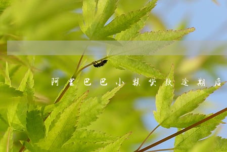 阿里巴巴小额贷款逾期后果