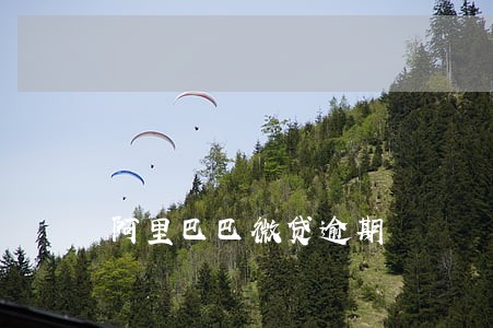 阿里巴巴微贷逾期