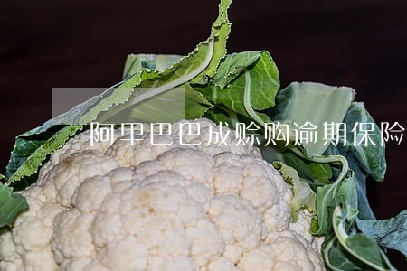 阿里巴巴成赊购逾期保险代偿
