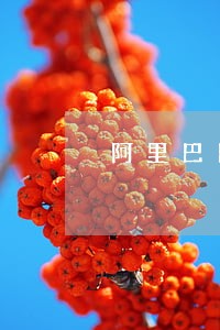 阿里巴巴机动车司法拍卖 阿里巴巴机动车司法拍卖