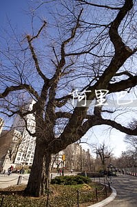 阿里巴巴法律顾问钱猛 阿里巴巴法律顾问钱猛