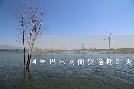 阿里巴巴网商贷逾期2天 阿里巴巴网商贷逾期2天