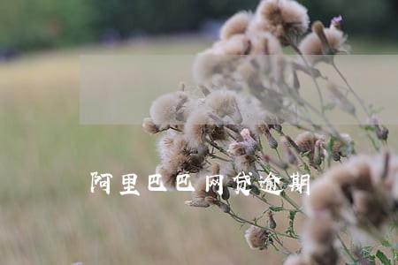阿里巴巴网贷逾期 阿里巴巴网贷逾期