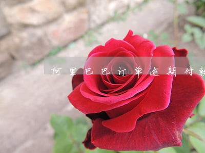 阿里巴巴订单逾期付款