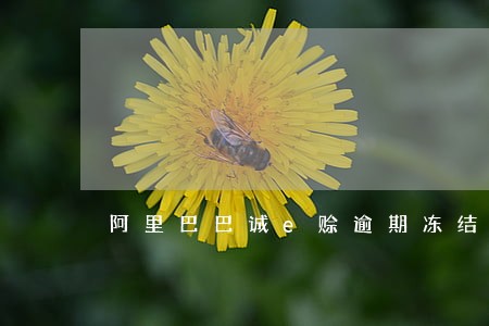 阿里巴巴诚e赊逾期冻结