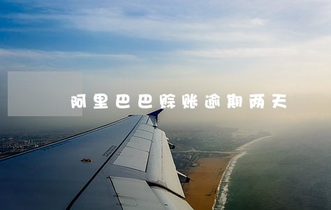 阿里巴巴赊账逾期两天
