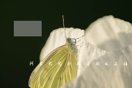 阿里巴巴赊账逾期被冻结