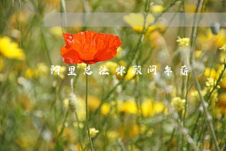阿里总法律顾问年薪 阿里总法律顾问年薪