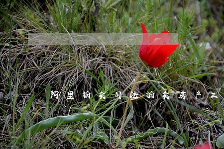 阿里拍卖司法拍卖房产三次流拍