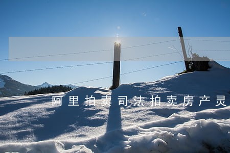 阿里拍卖司法拍卖房产灵山县 阿里拍卖司法拍卖房产灵山县