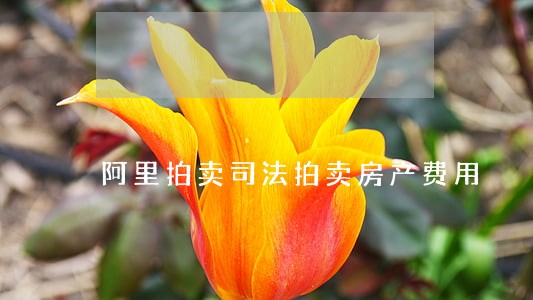 阿里拍卖司法拍卖房产费用 阿里拍卖司法拍卖房产费用
