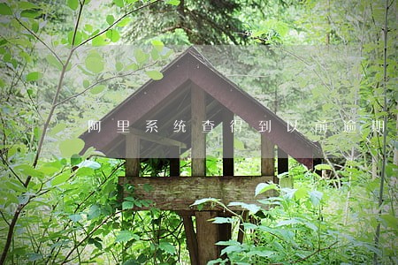 阿里系统查得到以前逾期记录吗