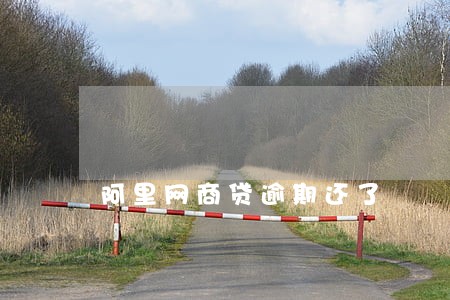 阿里网商贷逾期还了 阿里网商贷逾期还了