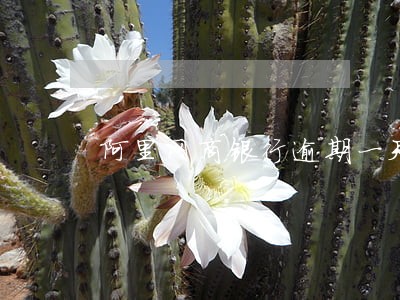阿里网商银行逾期一天影响征信吗 阿里网商银行逾期一天影响征信吗