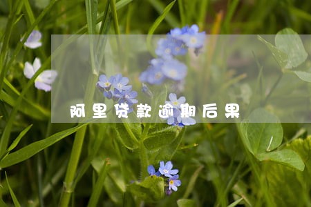 阿里贷款逾期后果 阿里贷款逾期后果