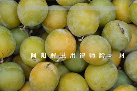 阿阳解说用律师脸p图 阿阳解说用律师脸p图