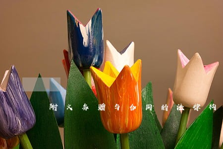 附义务赠与合同的法律构造 附义务赠与合同的法律构造