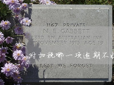 附加税哪一项逾期不收取滞纳金 附加税哪一项逾期不收取滞纳金