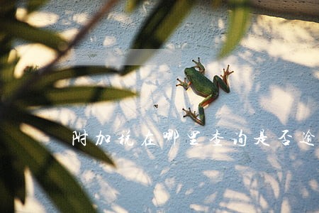 附加税在哪里查询是否逾期 附加税在哪里查询是否逾期