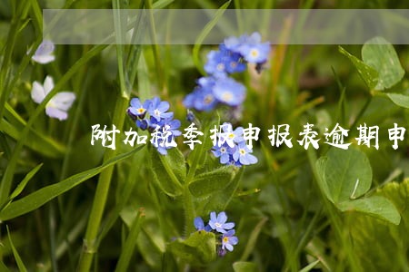 附加税季报申报表逾期申报 附加税季报申报表逾期申报