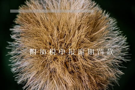 附加税申报逾期罚款 附加税申报逾期罚款