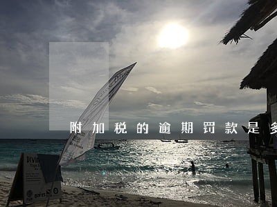 附加税的逾期罚款是多少 附加税的逾期罚款是多少