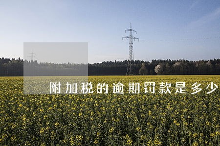 附加税的逾期罚款是多少钱 附加税的逾期罚款是多少钱