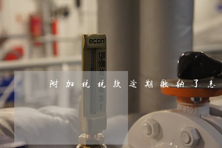 附加税税款逾期缴纳了怎么办 附加税税款逾期缴纳了怎么办