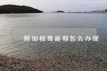 附加税费逾期怎么办理 附加税费逾期怎么办理