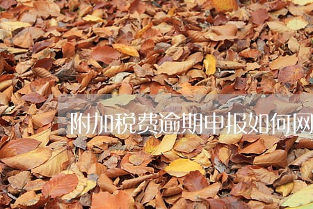 附加税费逾期申报如何网上申报 附加税费逾期申报如何网上申报
