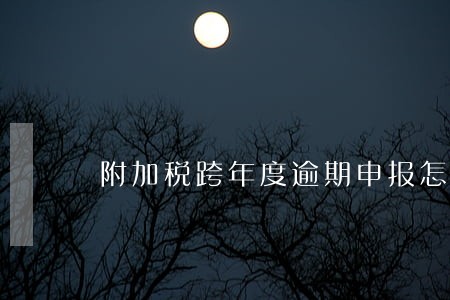附加税跨年度逾期申报怎么办 附加税跨年度逾期申报怎么办
