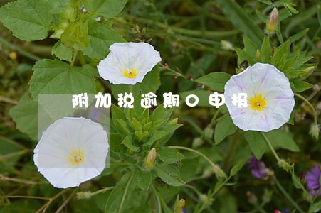 附加税逾期0申报 附加税逾期0申报