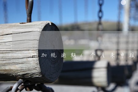 附加税逾期6个月未申报