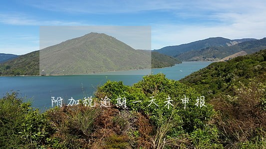 附加税逾期一天未申报 附加税逾期一天未申报
